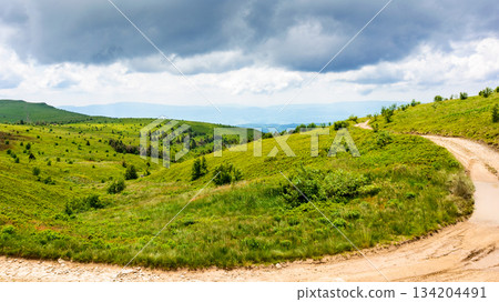 country dirt road through carpathian mountains of ukraine on a summer day. scenic view of green rolling hills under blue sky with clouds. beautiful alpine meadow and distant ridge for background country dirt road through carpathian mountains of ukraine on a summer day. scenic view of green rolling hills under blue sky with clouds. beautiful alpine meadow and distant ridge for background 134204491