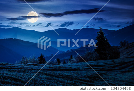 beautiful countryside landscape in springtime at night. grassy slopes of mountainous rural area in full moon light. hills rolling in to the distance. background for fake news or conspiracy concepts beautiful countryside landscape in springtime at night. grassy slopes of mountainous rural area in full moon light. hills rolling in to the distance. background for fake news or conspiracy concepts 134204498