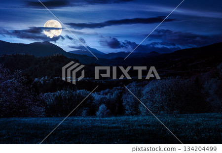 forested hills in spring at night. beautiful scenery in mountains in full moon light. rolling countryside landscape. remote rural region in highlands. backdrop for fiction art or mystery concepts forested hills in spring at night. beautiful scenery in mountains in full moon light. rolling countryside landscape. remote rural region in highlands. backdrop for fiction art or mystery concepts 134204499