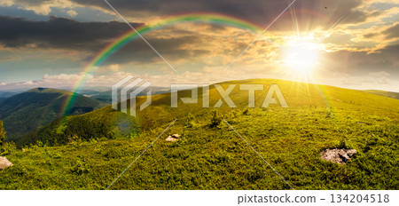 panoramic view of alpine meadows on the mountain top at sunset. beautiful summer landscape with green hills in evening light. concept for outdoor adventure. storytelling cinematic image under rainbow panoramic view of alpine meadows on the mountain top at sunset. beautiful summer landscape with green hills in evening light. concept for outdoor adventure. storytelling cinematic image under rainbow 134204518