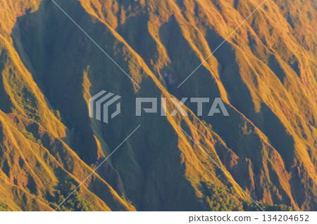 Golden ridges pattern Pergasingan Hill Lombok sunrise light. 134204652