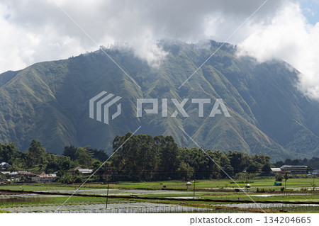 Massive volcano slopes towering Sembalun valley Lombok Indonesia. 134204665
