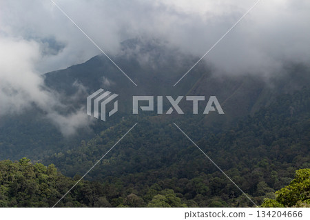 Tropical clouds covering lush jungle mountains Pergasingan hill 134204666