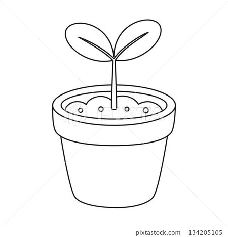 outline seedling in pot outline seedling in pot 134205105