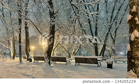 Peaceful snowy park at night with benches, trees and warm glowing street lights creating cozy winter atmosphere. 134205229