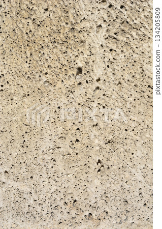 Porous Rough Stone Texture 134205809