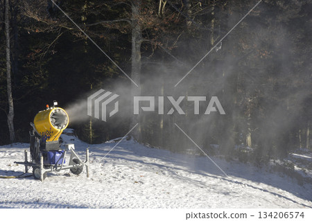 Snow Cannon Misty Spray 134206574