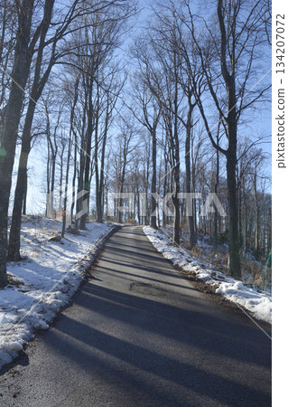 Medvednica Mountain Forest Road Medvednica Mountain Forest Road 134207072