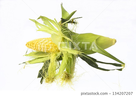 Organic ear of corn isolated on white Organic ear of corn isolated on white 134207207