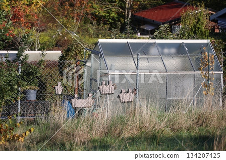 Greenhouse with a fence around it Greenhouse with a fence around it 134207425