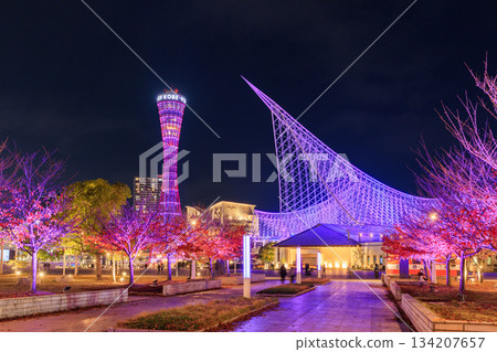 神戶美利堅公園（兵庫縣神戶市中央區）的秋葉燈光秀 134207657