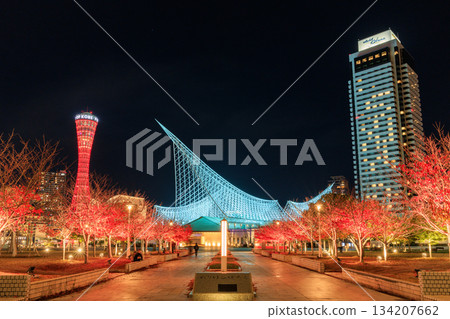 Autumn foliage illumination at Kobe Meriken Park (Chuo Ward, Kobe City, Hyogo Prefecture) Autumn foliage illumination at Kobe Meriken Park (Chuo Ward, Kobe City, Hyogo Prefecture) 134207662