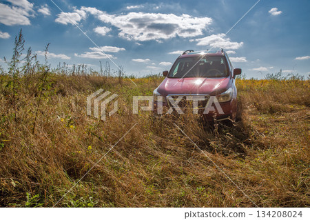 Red crossover driving through tall dry grass field 134208024