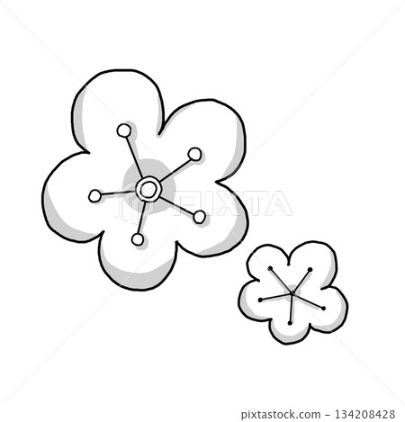 Simple plum blossom line drawing illustration Simple plum blossom line drawing illustration 134208428