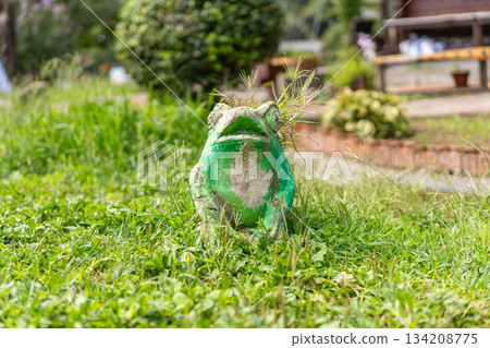 青蛙擺飾與綠色景觀 134208775