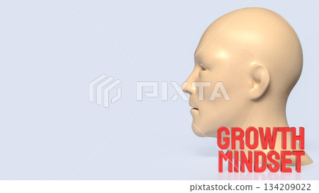 Human Mind Growth Mindset Concept 3d render. 134209022