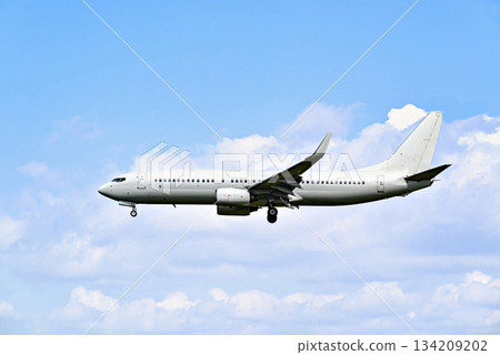 Passenger plane landing at the airport, under a blue sky with white clouds	 134209202