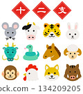 Cute 12 Zodiac Animal Face Illustrations Set 134209205