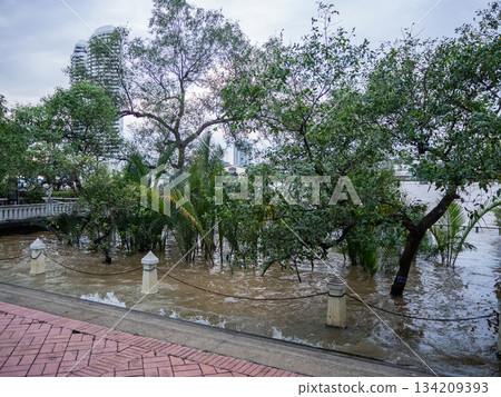 Thailand Bangkok cityscape snapshot 134209393