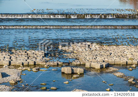 京都市鴨川風景 134209538