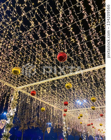 Golden Christmas Light Canopy Decoration Golden Christmas Light Canopy Decoration 134209566