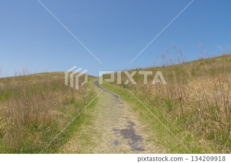 Spring 2025: Dead grass remains on the Akiyoshidai Kitayama hiking trail to Kanmuriyama Spring 2025: Dead grass remains on the Akiyoshidai Kitayama hiking trail to Kanmuriyama 134209918