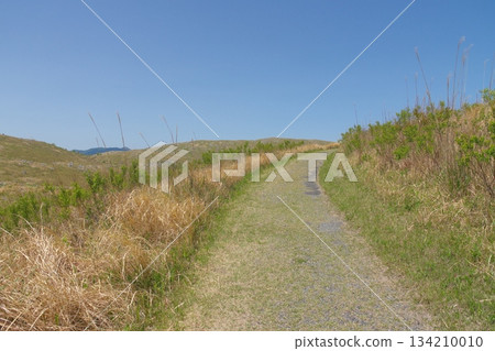 2025年春季：秋吉台北山通往冠山的健行步道上，枯草遍地。 134210010