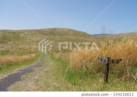 Spring 2025: View of Akiyoshidai and Mt. Kanmuriyama, with dead grass remaining Spring 2025: View of Akiyoshidai and Mt. Kanmuriyama, with dead grass remaining 134210011