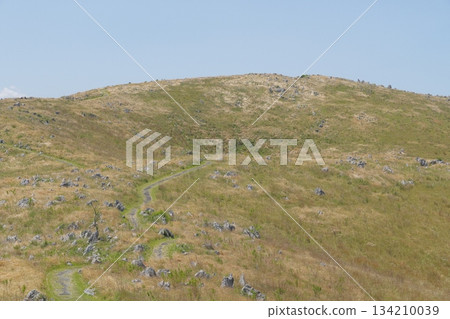 Spring 2025: View of Akiyoshidai and Mt. Kanmuriyama, with dead grass remaining Spring 2025: View of Akiyoshidai and Mt. Kanmuriyama, with dead grass remaining 134210039