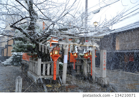 京都祗園的辰巳大名神神社被白雪覆蓋 京都祗園的辰巳大名神神社被白雪覆蓋 134210071