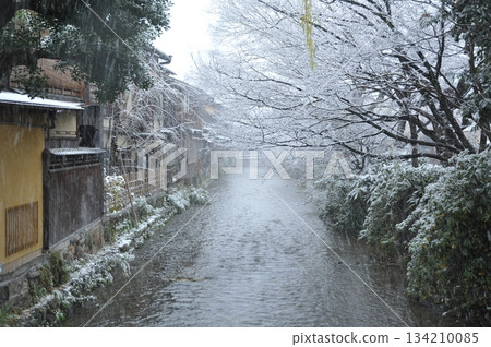 京都祗園白川的雪景 京都祗園白川的雪景 134210085