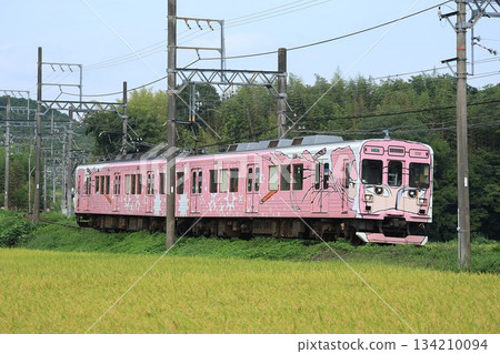 [Iga Railway] 200 Series Ninja Train (Iga Line: Iga-Kobe - Hito) 134210094