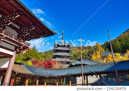 深秋時節的越前大佛 134210478