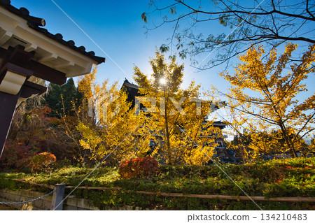 深秋時節的越前大佛 134210483