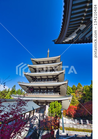 深秋時節的越前大佛 134210484