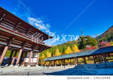 深秋時節的越前大佛 深秋時節的越前大佛 134210489