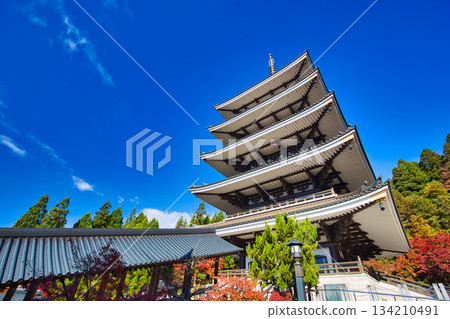 深秋時節的越前大佛 134210491