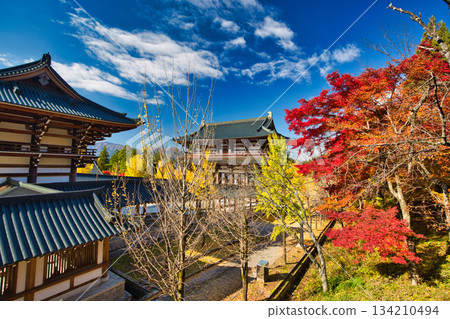 深秋時節的越前大佛 134210494