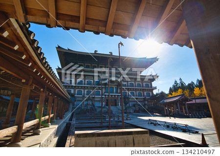 Echizen Great Buddha in late autumn Echizen Great Buddha in late autumn 134210497