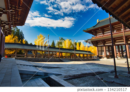 深秋時節的越前大佛 134210517