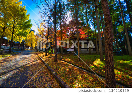 Echizen Great Buddha in late autumn 134210529