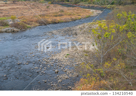 京都府笠木町木津川初冬景色 134210540
