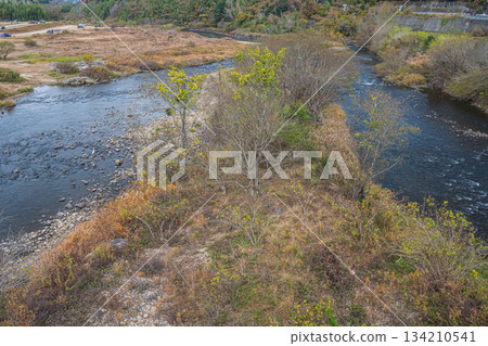 京都府笠木町木津川初冬景色 134210541