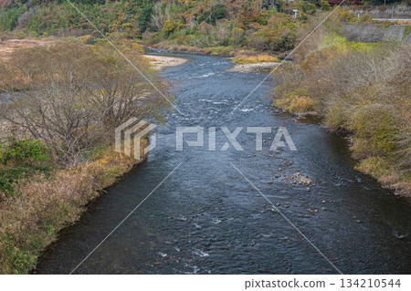 京都府笠木町木津川初冬景色 134210544