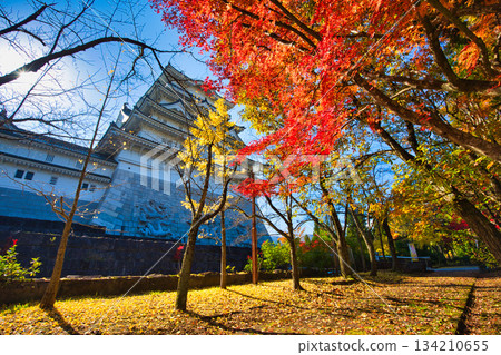 勝山城在秋日藍天的襯托下熠熠生輝 勝山城在秋日藍天的襯托下熠熠生輝 134210655