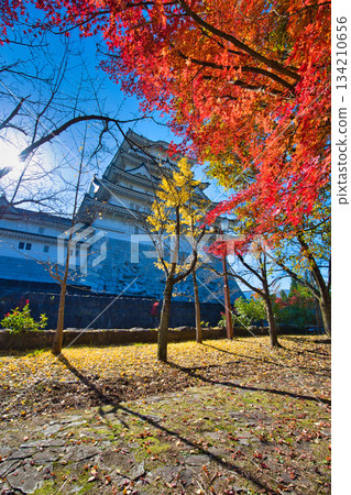 勝山城在秋日藍天的襯托下熠熠生輝 勝山城在秋日藍天的襯托下熠熠生輝 134210656