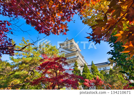Katsuyama Castle shining against the blue autumn sky 134210671