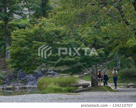 Foreign tourists enjoying the scenery of the Gassho-style Minkaen open-air museum in the World Heritage site of Shirakawa-go Foreign tourists enjoying the scenery of the Gassho-style Minkaen open-air museum in the World Heritage site of Shirakawa-go 134210707
