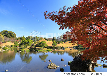熊本縣水前寺常壽園大名庭園的秋葉美景 熊本縣水前寺常壽園大名庭園的秋葉美景 134210765