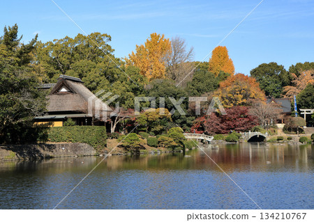 熊本縣水前寺常壽園大名庭園的秋葉美景 134210767